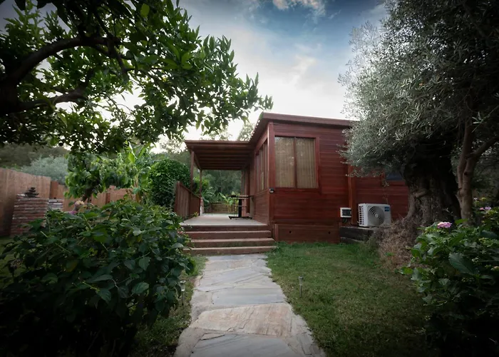 El Jardin Del Eden