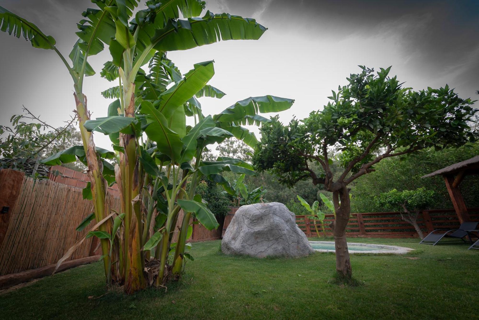 Holiday home El Jardin Del Eden Orgiva
